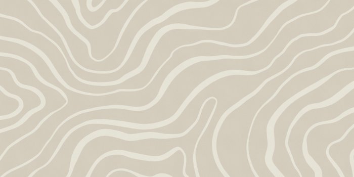 2560x1661 Neutral Tone Modern Abstract Lines Mural | Hovia