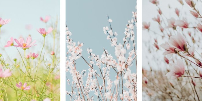 1440x648 Your Ultimate Guide To The Cottagecore Aesthetic - Glory of the Snow