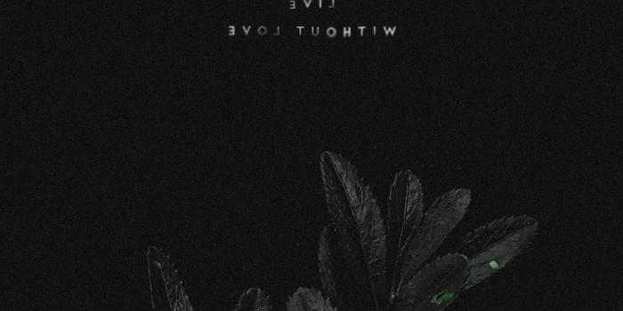 1000x1778 Black Aesthetic Wallpaper - Wallpaper Sun