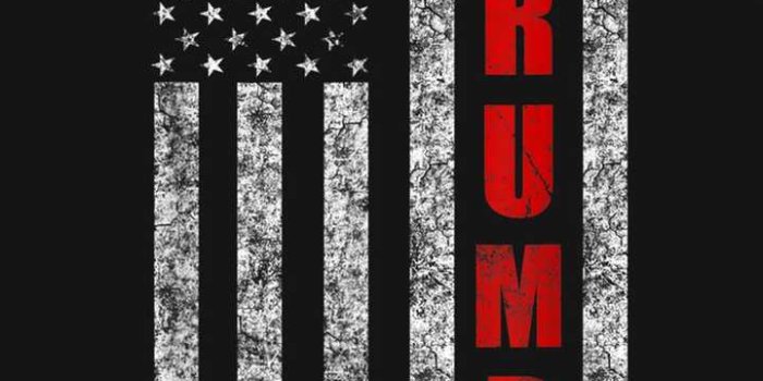 720x1280 Trump Wallpaper - iXpap