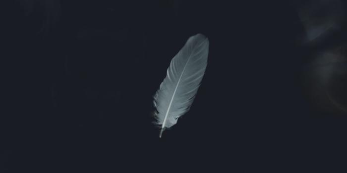 1080x1920 Black Aesthetic Wallpapers - Top 45 Best Black Aesthetic Backgrounds  Download