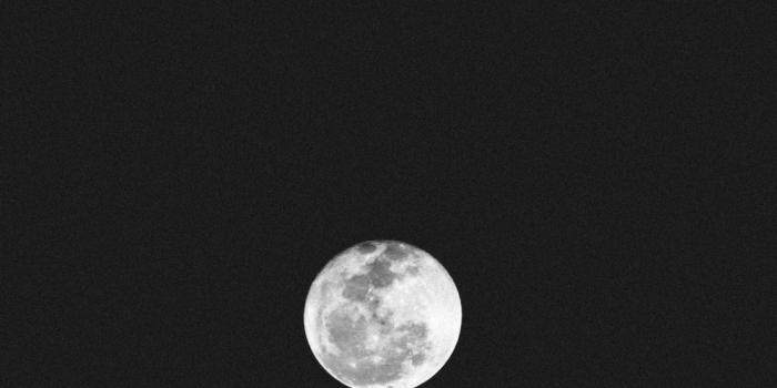 1000x1500 750+ Black Aesthetic Pictures | Download Free Images on Unsplash