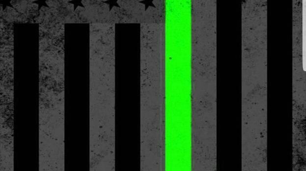 623x1280 Green Line Wallpapers - Top Free Green Line Backgrounds - WallpaperAccess