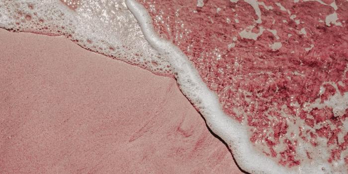 1000x1250 500+ Light Pink Pictures [HD] | Download Free Images on Unsplash