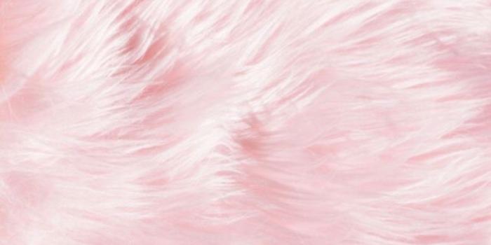 1080x1920 23 Light Pink iPhone Wallpapers - Wallpaperboat