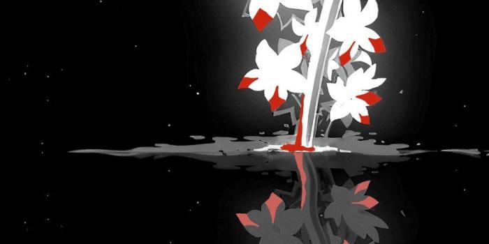 900x2000 Katana Reflection Wallpaper - Wallpapers For Tech