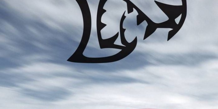 720x1280 Dodge hellcat wallpaper by wlerwin2