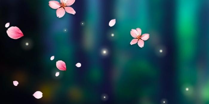 1080x2220 Beautiful Cute Wallpapers - Top Free Beautiful Cute Backgrounds -  WallpaperAccess