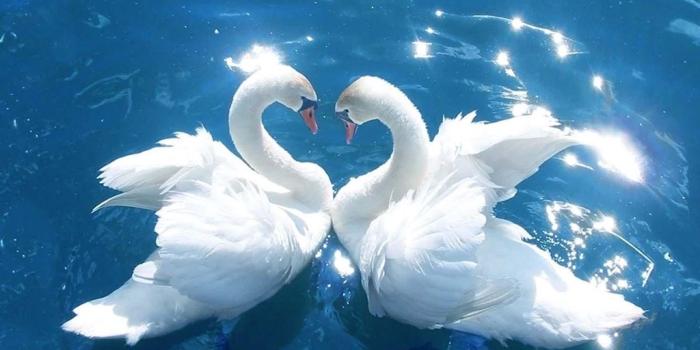 1024x768 Nice Love U Wallpapers Nice Wallpapers Best Desktop Backgrounds Desktop  Background