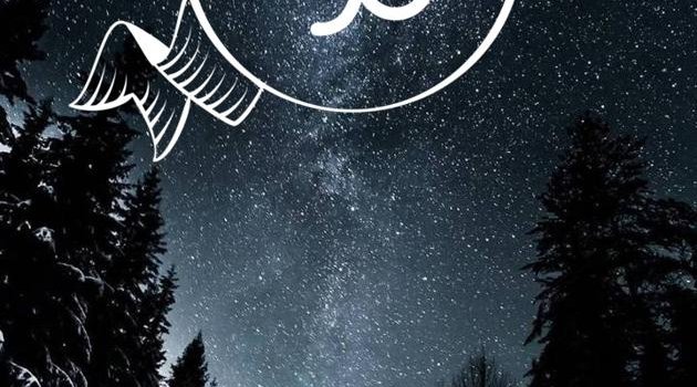 630x1280 Capricorn Wallpaper wallpaper by SRedX0 - Download on ZEDGE™ | 462a