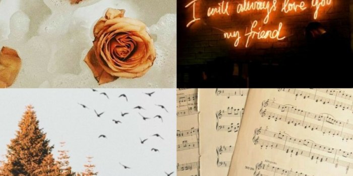 899x1600 Aesthetic Wallpapers — Cancer x Capricorn Aesthetic ♋♑ Anonymous...