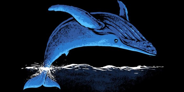 1080x2340 Blue Whale AMOLED Wallpaper 1080×2340 | Black and blue wallpaper, Dark  background wallpaper, Blue whale