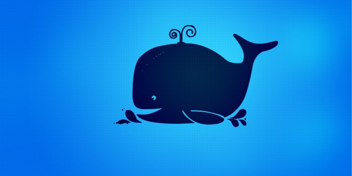 2560x1440 Wallpaper 4k Blue whale Wallpaper