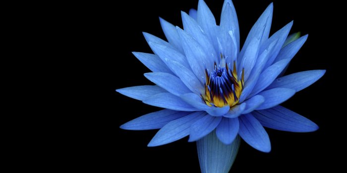 1920x1200 Sony 4K wallpapers for your desktop or mobile screen free and easy to  download