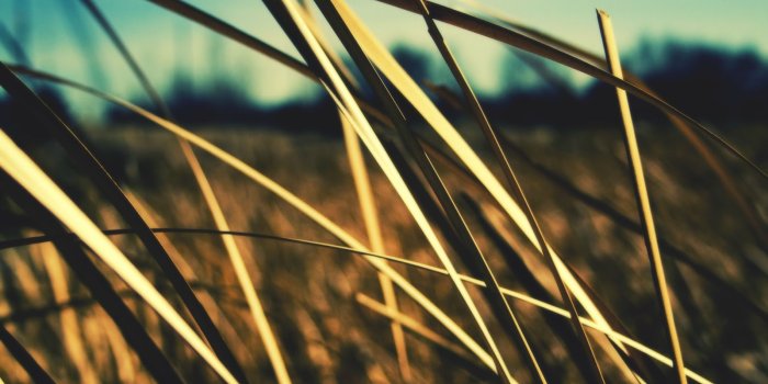 1600x1000 50+ HD Sony Wallpapers 4K 1920x1080 (2020) - We 7