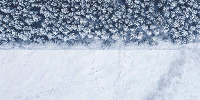 1027x1200 Download the Sony Xperia 1 II wallpapers and live wallpapers