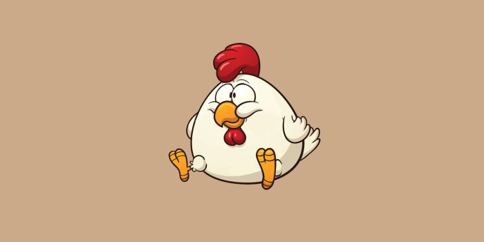 1332x850 Wallpaper bird, minimalism, chicken, chicken images for desktop, section  минимализм - download