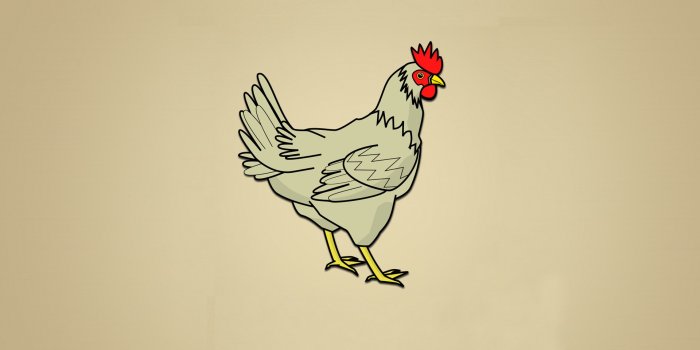 1920x1080 Chicken Background HD Wallpaper 29038 - Baltana