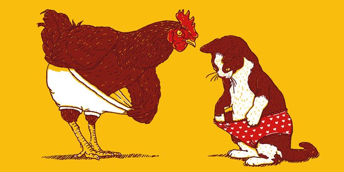 1125x2436 ah82-cat-chicken-underwear-cute-illust-art - Papers.co