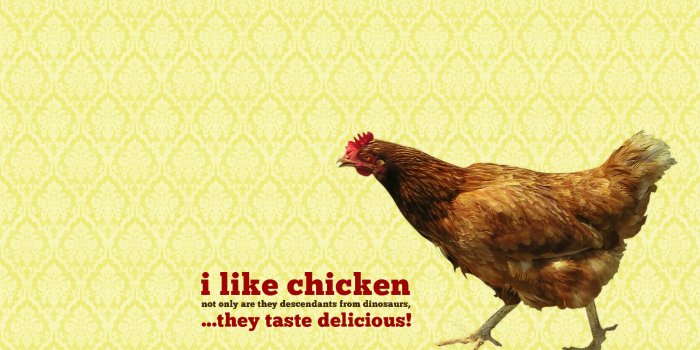 1920x1200 Chicken Wallpaper | 1920x1200 | ID:30168