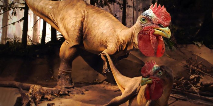 1280x800 Wallpaper funny Chicken Dinosaurs rooster rex invented Beak Animals