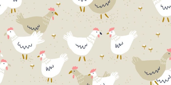 1280x1280 10 Chicken wallpaper ideas | chicken art, chicken wallpaper, chickens and  roosters