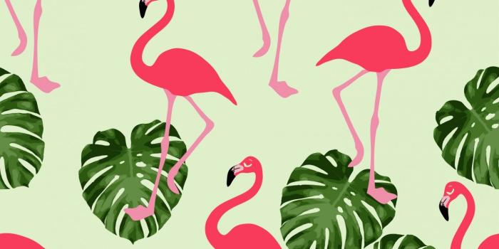 1346x1920 Flamingo Wallpapers - Top Free Flamingo Backgrounds - WallpaperAccess