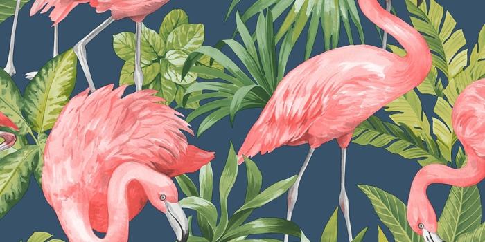 1000x1000 Flamingo wallpaper in navy blue & pink | I Love Wallpaper