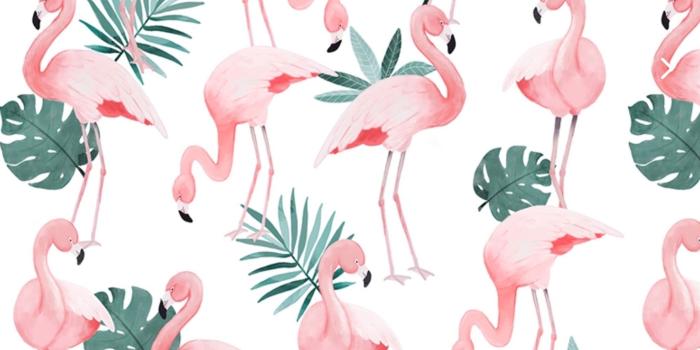 2048x1456 Free download Flamingo Laptop Wallpapers Top Flamingo Laptop Backgrounds  [2048x1456] for your Desktop, Mobile & Tablet | Explore 25+ Flamingo  Background | Vintage Flamingo Wallpaper, Flamingo Wallpaper, Flamingo  Wallpaper Border