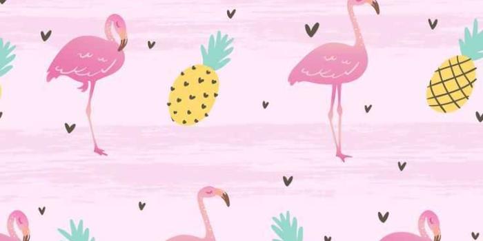 736x1308 Flamingo Wallpaper - IXpaper