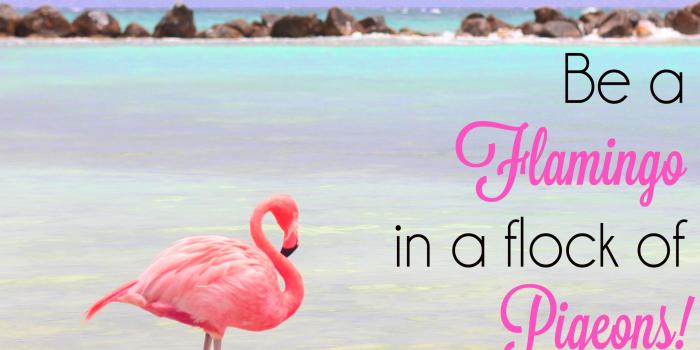 2560x1440 Be a Flamingo Tech Wallpapers - Strange & Charmed