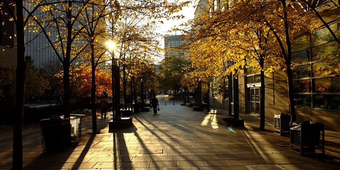 1920x1080 50+ Toronto HD Wallpapers | Background Images