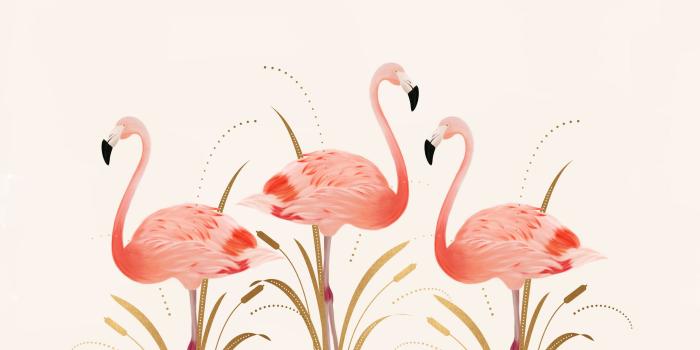 2880x1800 Flamingo Wallpapers Hd Resolution Src Flamingo Wallpaper - 3 Flamingos -  2880x1800 Wallpaper - teahub.io
