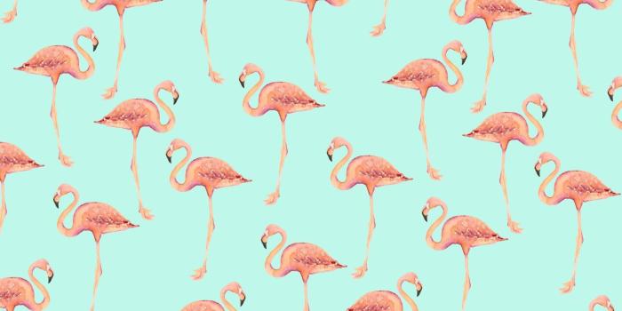 1856x1161 Flamingos Wallpapers
