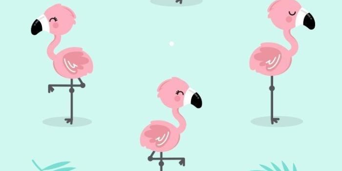 750x1334 Cartoon Flamingo Wallpapers - 4k, HD Cartoon Flamingo Backgrounds on  WallpaperBat