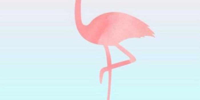 768x1365 Flamingo Flamingos Iphone Wallpaper Desktop Free Hq (#2952492) - HD  Wallpaper & Backgrounds Download