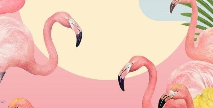 688x1230 Pin de นู๋นก ลูกสาวคนโต em wallpapers | Flamingo papel de parede,  Ilustração de flamingo, Papel de parede flamingo