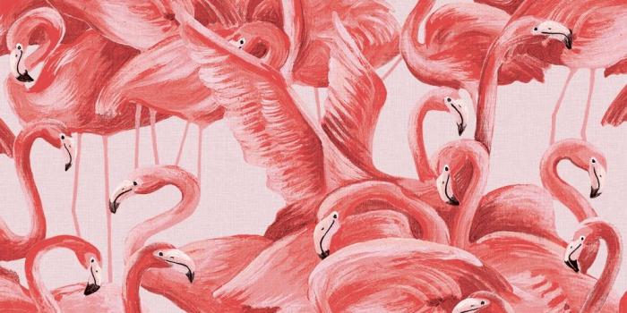 1000x1000 Flamingo Removable Wallpaper - Accent Any Space