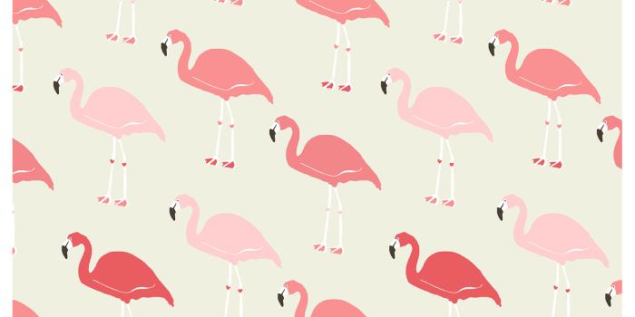 1476x1476 Fabulous Flamingo Wallpaper - The Glam Pad