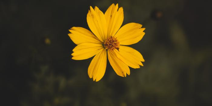 3456x5184 60,000+ Best Lock Screen Wallpaper Photos · 100% Free Download · Pexels  Stock Photos