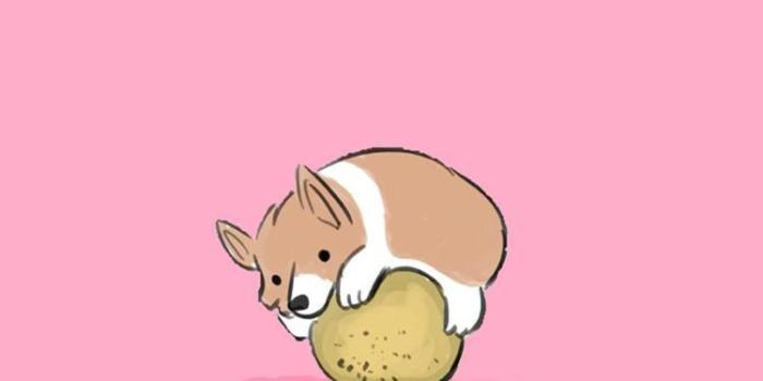 750x1334 Cute Cartoon Animal iPhone Wallpapers - Top Free Cute Cartoon Animal iPhone  Backgrounds - WallpaperAccess