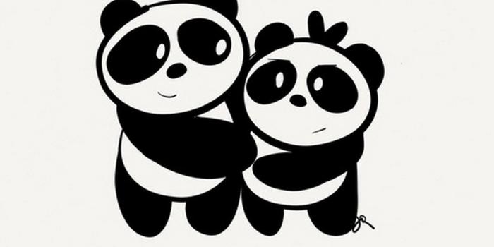1080x1920 Cute Couple Wallpaper For Iphone 14 Data Src Cute - Cartoon Panda Couple -  1080x1920 Wallpaper - teahub.io