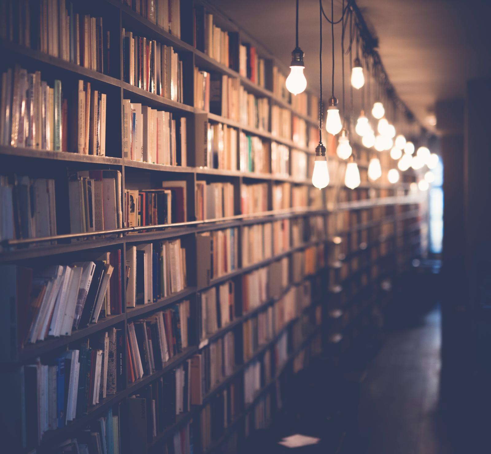 5013x4634 3,000+ Best Library Photos · 100% Free Download · Pexels Stock Photos