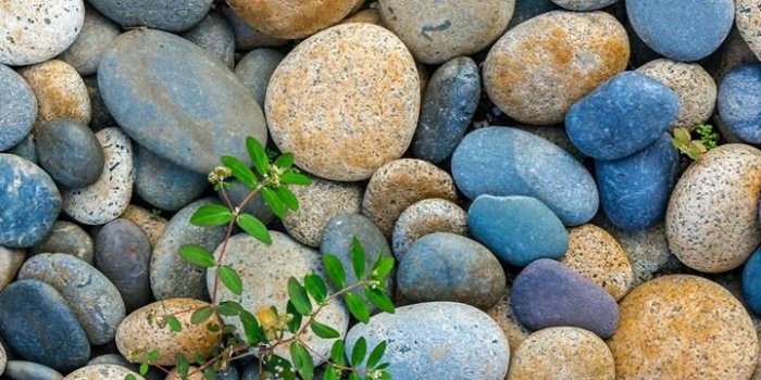 720x1208 miamivice88: “Wallpaper. ” | Stone wallpaper, Qhd wallpaper, Flower phone  wallpaper