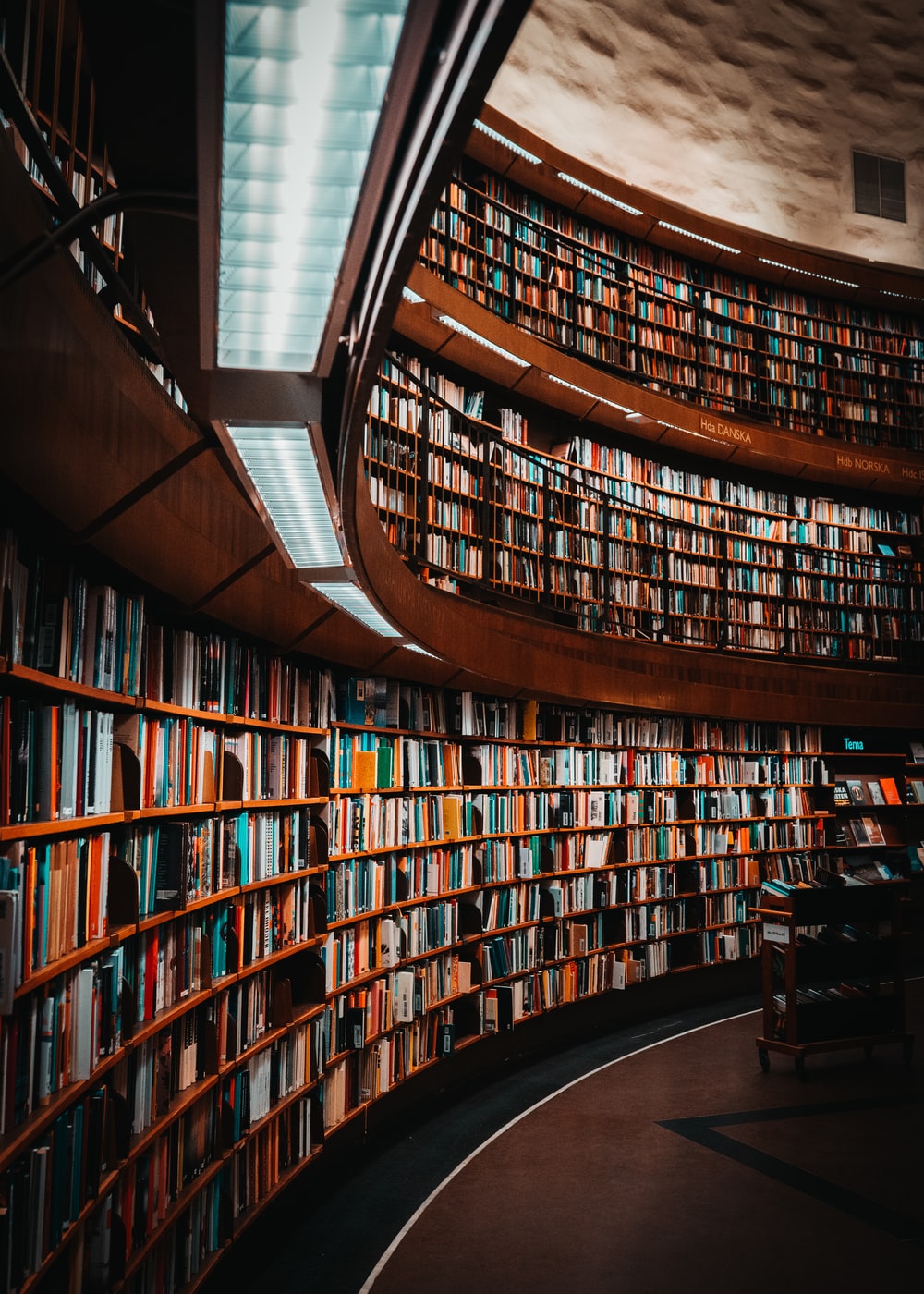 1000x1400 Library Background Pictures | Download Free Images on Unsplash