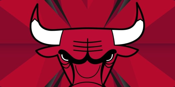 1080x1920 Mobile Phone Backgrounds | Chicago Bulls