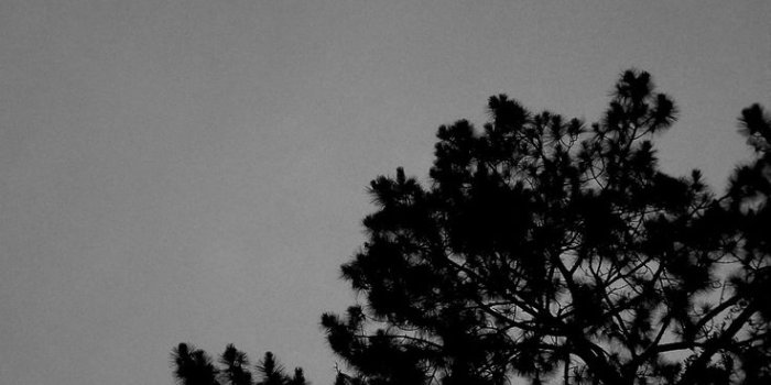 736x1268 Black and white wallpaper | Black and white wallpaper iphone, Black and white  wallpaper, Black and white aesthetic