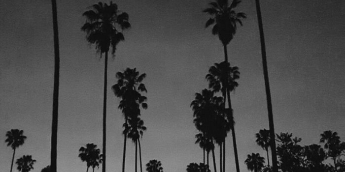 1080x1920 Black and White Wallpapers - Top 35 Best Black and White Backgrounds  Download