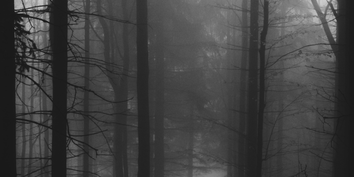 1242x2688 Black and White Wallpaper for iPhone 11, Pro Max, X, 8, 7, 6 - Free  Download on 3Wallpapers