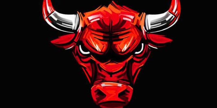 750x1334 Chicago Bulls Wallpaper - iXpap